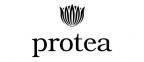Protea - Cabernet Sauvignon 0 (750)