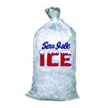 Ice - 20lb 0