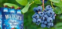 McKenszies's - Blueberry Blast Hard Cider (66)