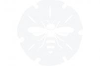 Beach Bee - Earl Grey Lemon Cider (4 pack cans) (4 pack cans)