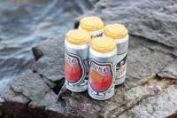 Foam Brewers - Pavement (4 pack cans) (4 pack cans)
