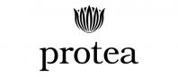Protea - Cabernet Sauvignon (750ml) (750ml)