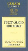 Due Torri - Pinot Grigio Friuli (1.5L) (1.5L)