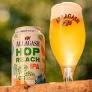 Allagash - Hop Reach IPA (12 pack cans) (12 pack cans)