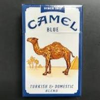 Camel - Lights (Each)