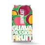 Downeast Cider - Guava Passionfruit Cider 0