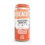 Carton Brewing - Beach Session Ale (4 pack cans) (4 pack cans)